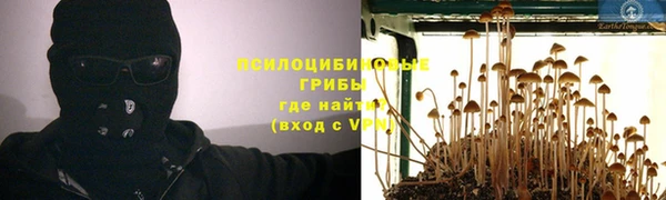 метадон Алексин