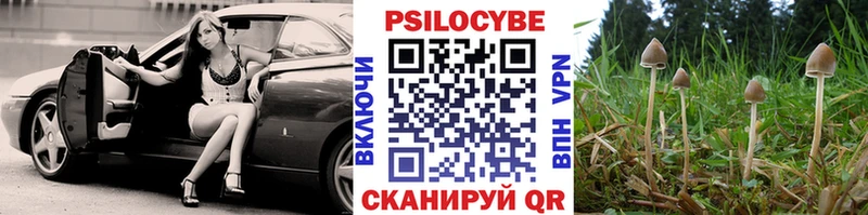 Галлюциногенные грибы прущие грибы  как найти   Апшеронск 